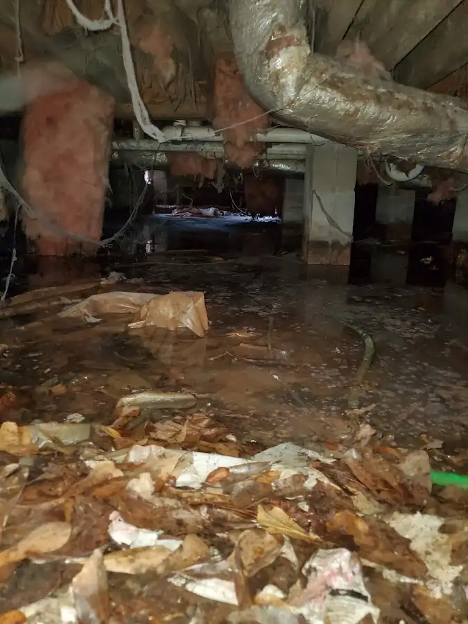Crawl space flood assessment for Leak Detection & Repair in Crescent City